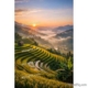 Rice Terraces Sunrise